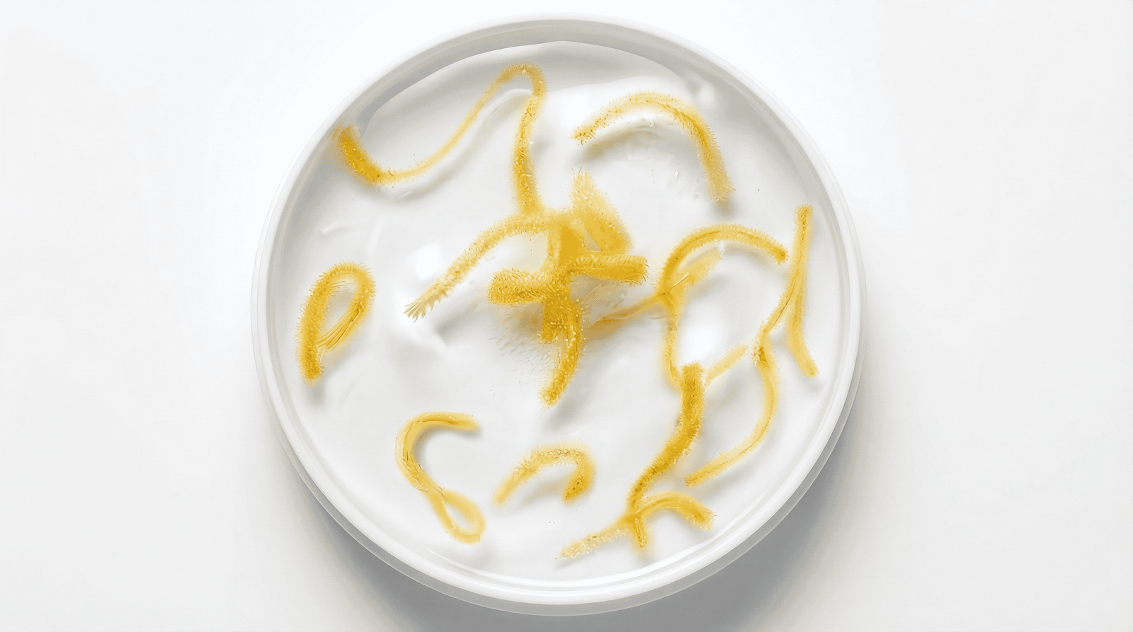 See the Golden Threads?